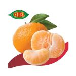 Cibel Clementinen 1 Stück