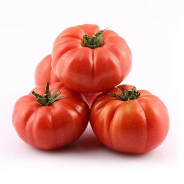 Fleischtomaten 1 stück ca. 400g