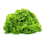 Lollo Bionda Salat 1 Stück