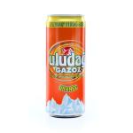 Uludağ Orange 330ml (EINWEG)