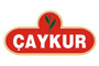 Caykur