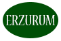 ERZURUM