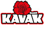Kavak